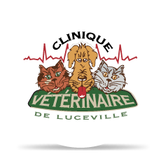 logo Clinique Vétérinaire de Luceville